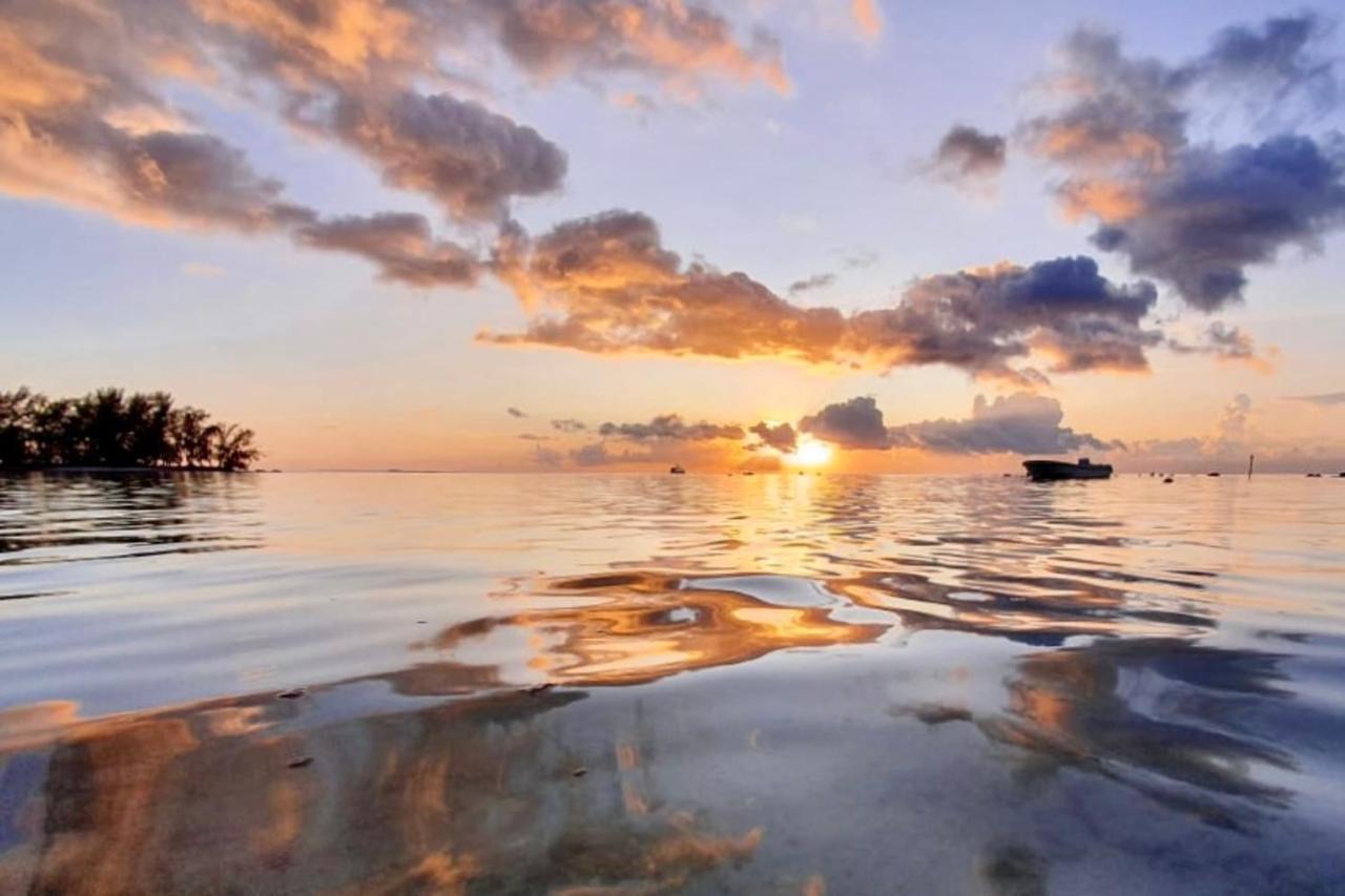 Auti Studio Direct Access To The Beach On Moorea With Ac -Wifi - Netflix Διαμέρισμα Haapiti Εξωτερικό φωτογραφία